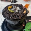 오시록 | 양평/서종면_분위기 좋은 감성 카페, 알로하서종(화분빙수 후기)