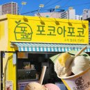 속초 중앙시장 맛집 포코아포코 후기｜이색 젤라또 아이스크림 추천