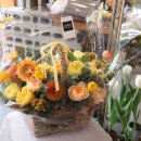 석전동286 이미지