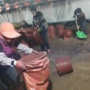 이정길농장 네이버블로그