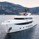 메타플렉스 이미지