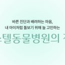 송림동물병원 이미지