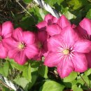 갈전농장 이미지