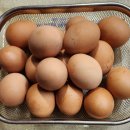 간단 구운 계란 만들기 이미지
