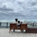 로타리사우나 | 속초 체스터톤스 호텔 체크인 수영장 사우나 편의점 루프탑 상세 후기