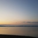 벌떡새우 이미지