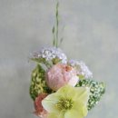 완월동행정복지센터 이미지