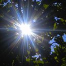 새하양세탁소 이미지