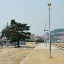 장복산길 이미지