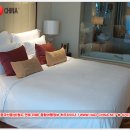 하오차이나 이미지