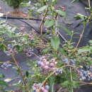 문화농장 이미지