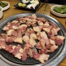 뿅카는생막창 - 청주시 흥덕구 진재로109번길 15 | 청주 운천동 맛집 추천, 뿅카는생막창 막창 맛집 솔직 후기