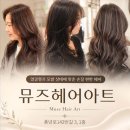 헤어 아트 - 청도군 | 헤어 아트