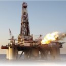 대왕자원 이미지