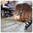가고파미용실 네이버블로그