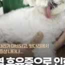 애니컴 메디컬센터 이미지