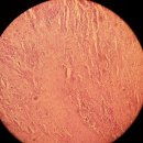 장산닥터남비뇨의학과의원 이미지