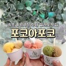성주수산 | 속초 중앙시장 맛집 포코아포코 건강한 수제 젤라또 추천