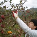 농원농장 이미지