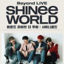 (주)더샤이니