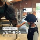 덕소 승마클럽 이미지