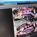 김s 동물병원 이미지