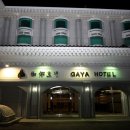 합천토종흙돼지 이미지