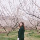 지에스25광양매화 네이버블로그