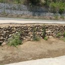 돌담펜션 이미지