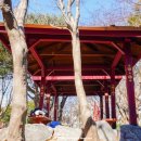 다모아 어린이공원 이미지