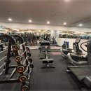 바디스미스 이미지