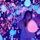 더강문풀빌라 이미지