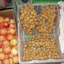 남호민박 이미지