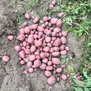 한스메디 이미지