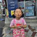 GS25 사근본 | GS25 "포켓몬 몬스터볼 아이스" 먹어본 후기│랜덤 피규어 이상해씨·꼬북이 퀄리티 대박