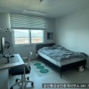 도담도담채 이미지