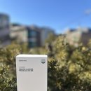 심지약국 | 아침마다 퉁퉁 붓는 얼굴 라인을 가볍게! 내돈내산 퀘르브로멜 브로멜라인 다이어트