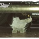 동춘3동 주민센터 이미지