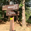 종합운동장 사거리 이미지