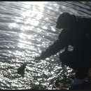 지곡낚시터 이미지