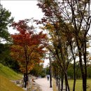 양지근린공원 이미지