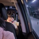 470 | 울산 근교 눈썰매장 경주 감산470 돌아기랑 다녀온 후기