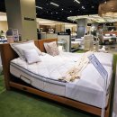 바르다 펫 부산센텀점 | 시몬스 N32 신세계 센텀시티점 모션베드 실물 후기