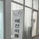 열두달펫 이미지