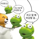대산체육관 | 내 한여름의 절정, 대산