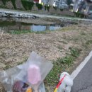 개빵뜯어먹는소리 이미지