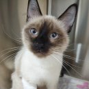 원스동물병원 이미지