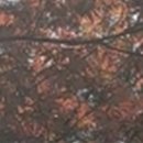 와인치과의원 이미지