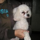 쌍용아파트후문 이미지