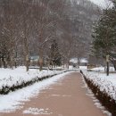 제일농장 이미지